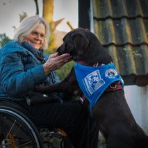Assistenzhunde Deutschland