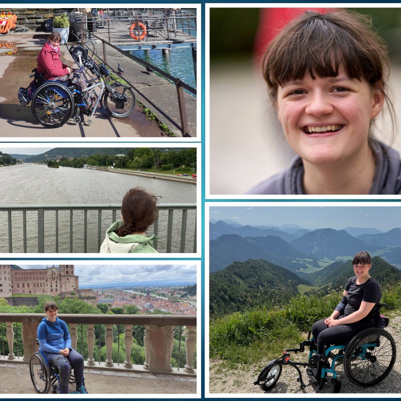 Bewerber für Apporte-Assistenzhunde