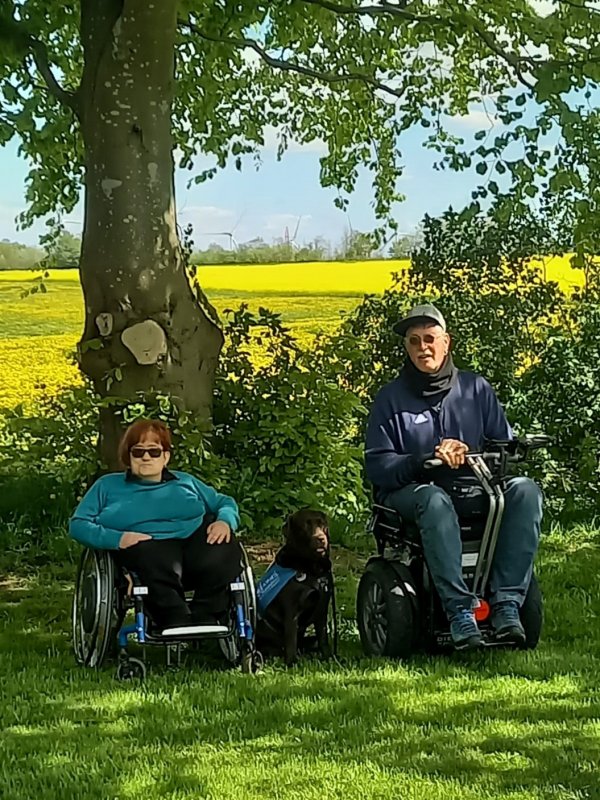 Apporte Assistenzhunde