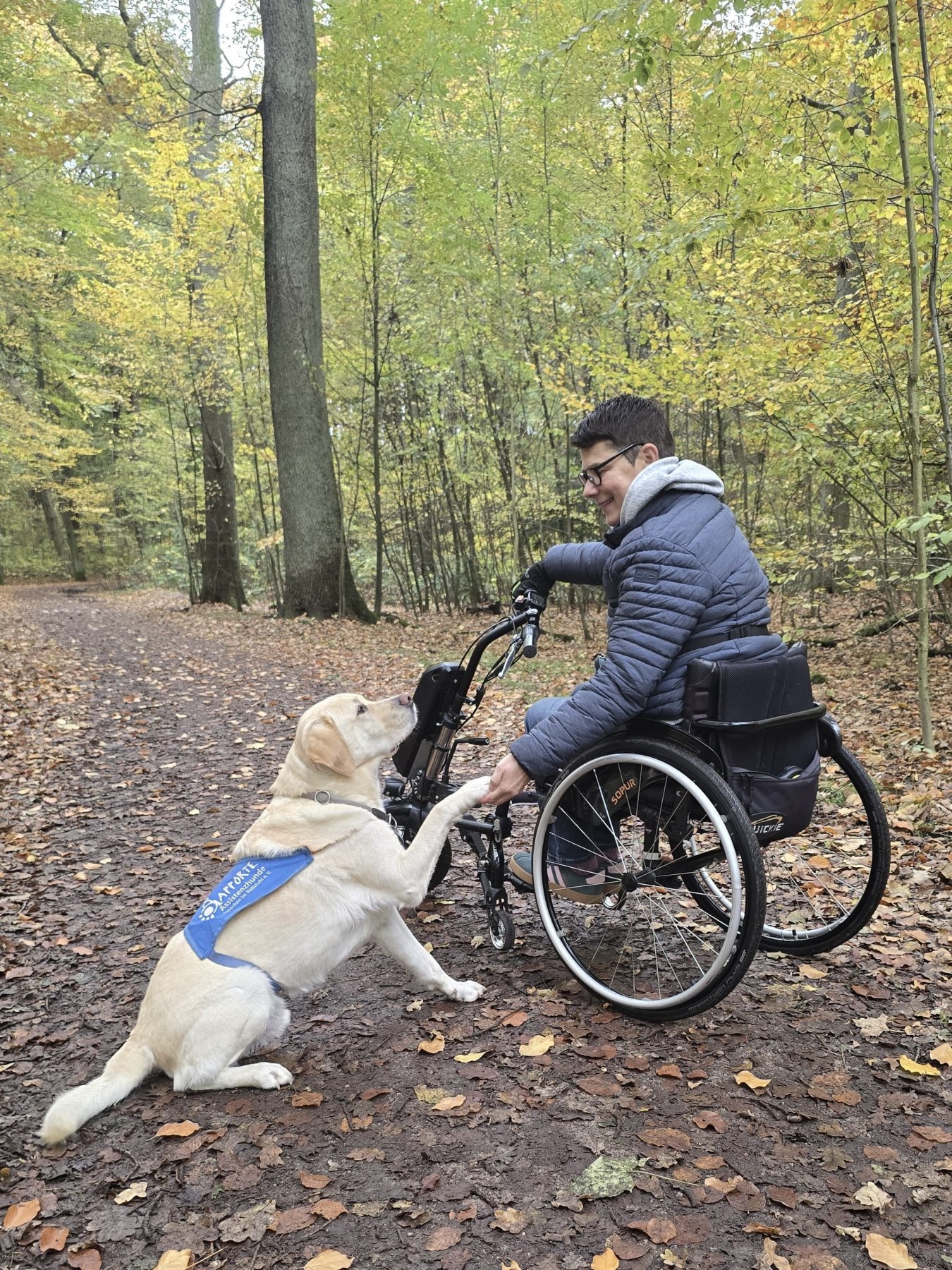 Apporte Assistenzhunde