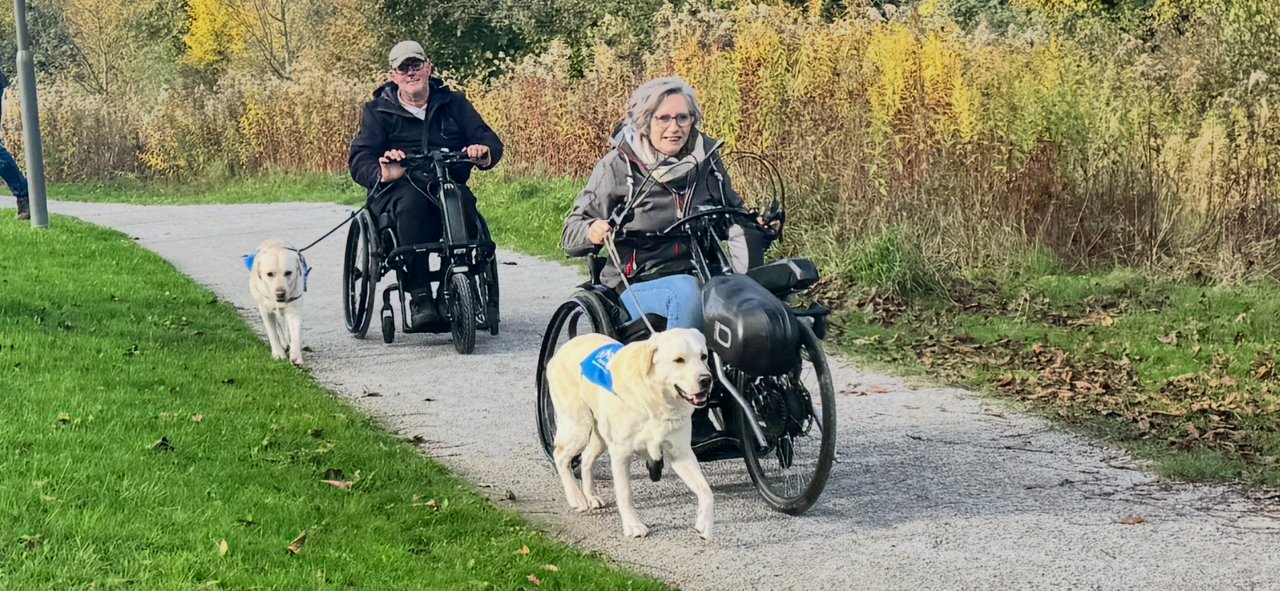 Apporte Assistenzhunde