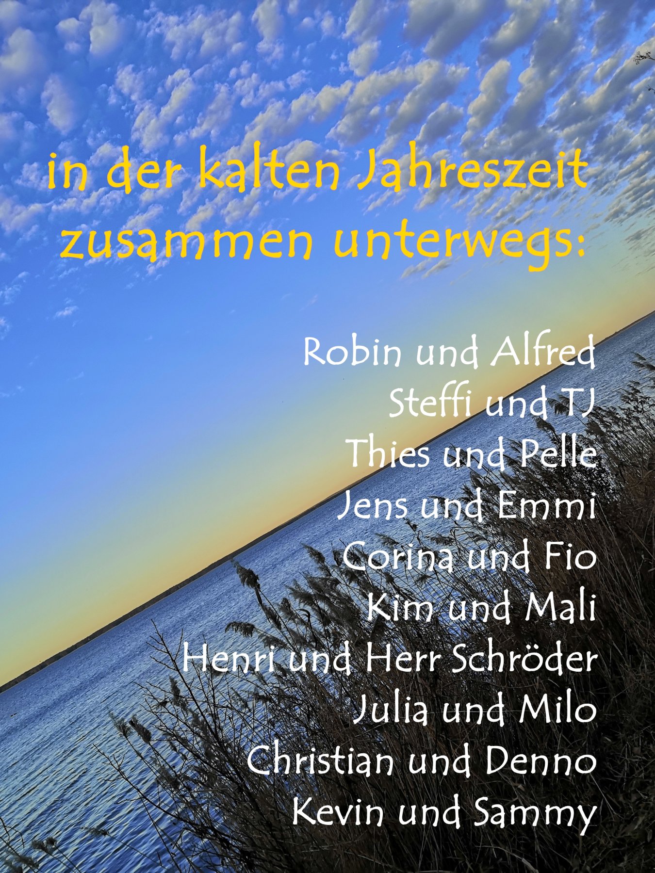 Apporte Assistenzhunde