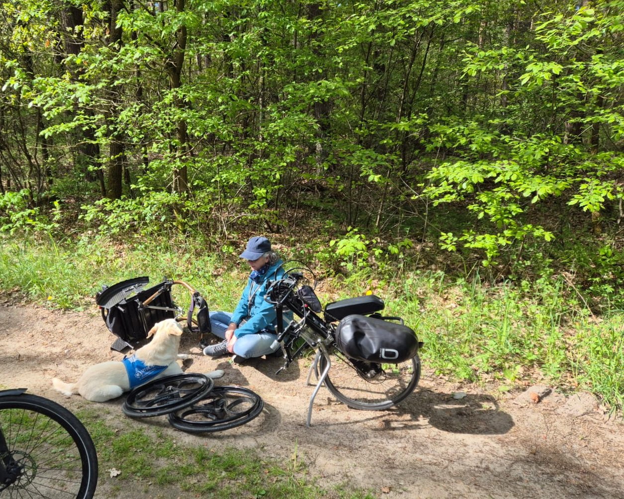 Apporte Assistenzhunde