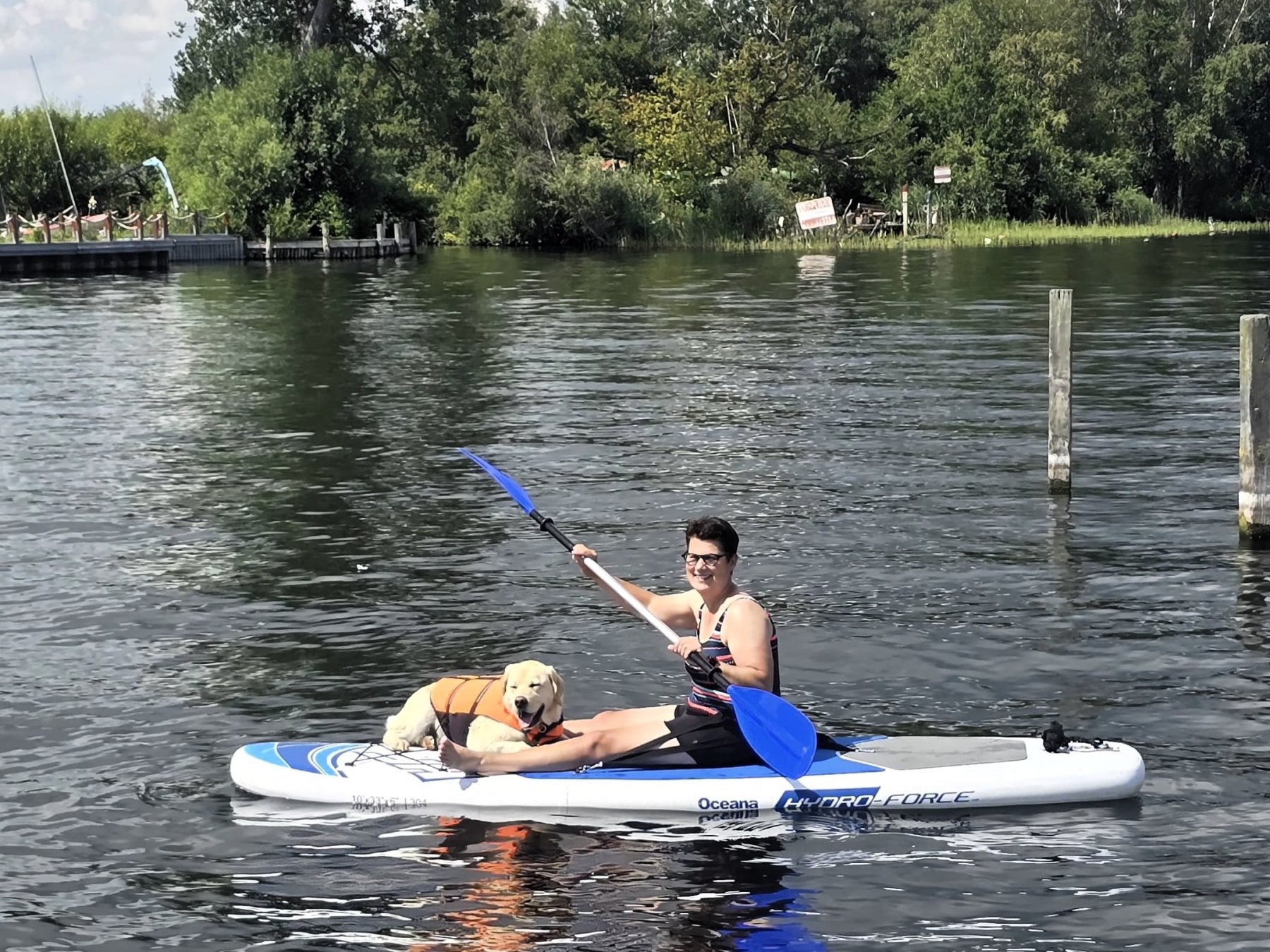 Apporte Assistenzhunde