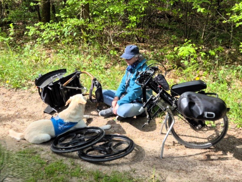 Apporte Assistenzhunde