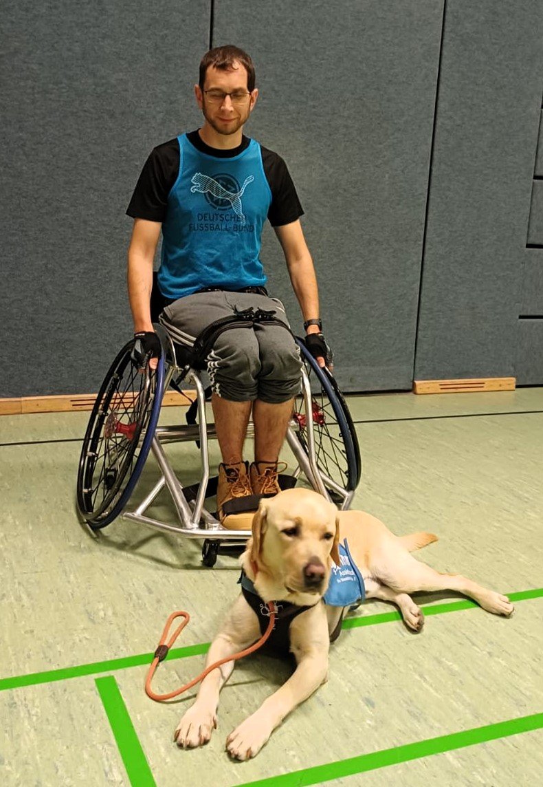 Apporte Assistenzhunde