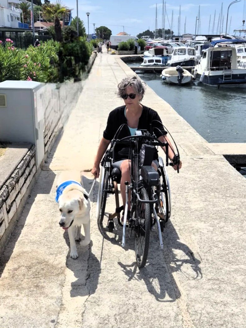 Apporte Assistenzhunde