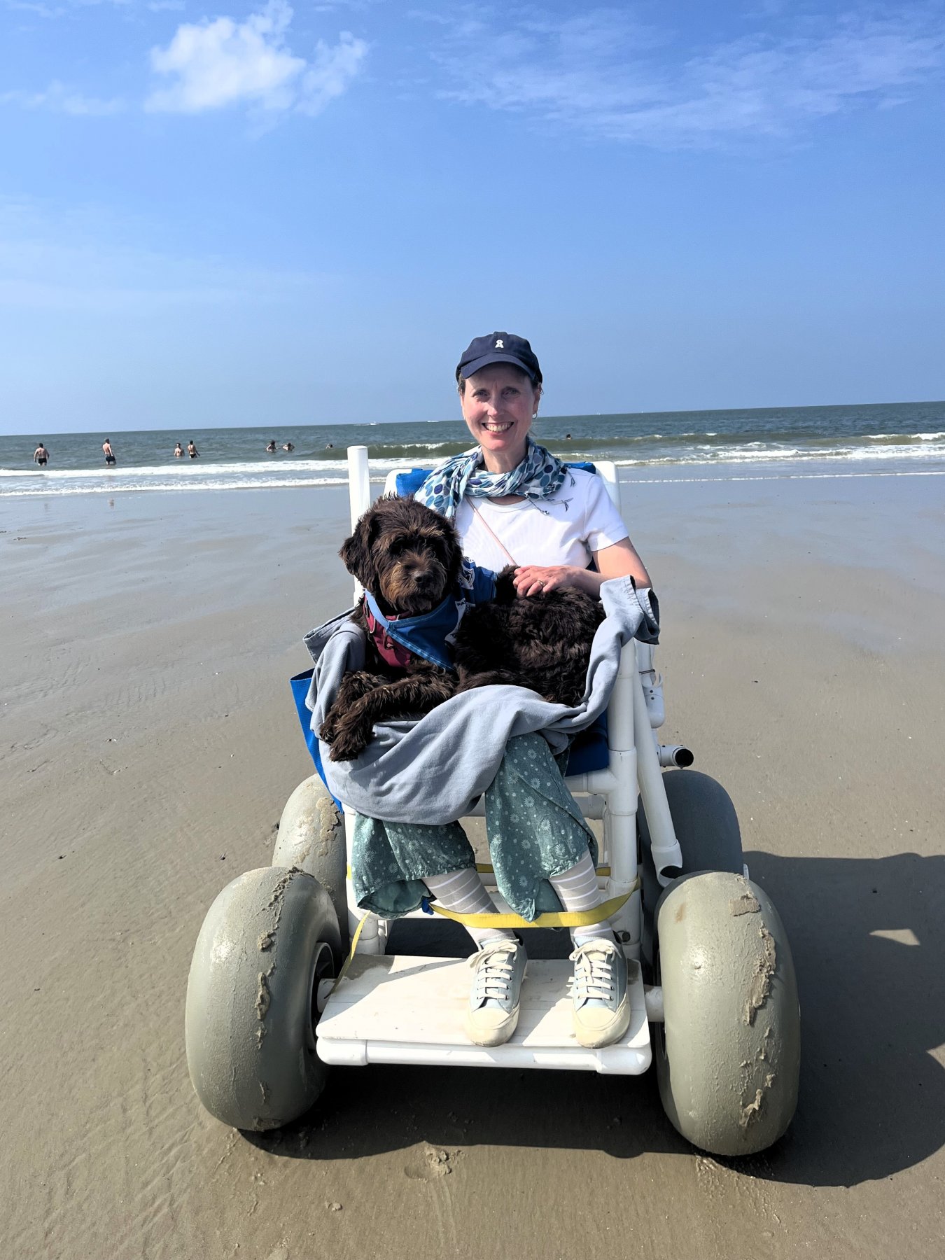 Apporte Assistenzhunde