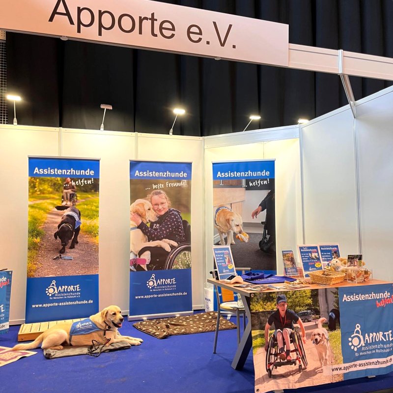 Apporte Assistenzhunde
