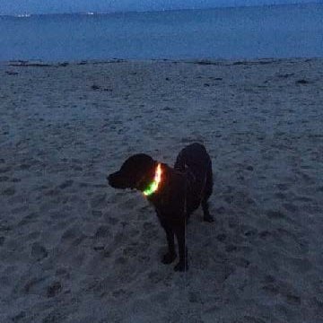 Denno mit Leuchtband am Strand
