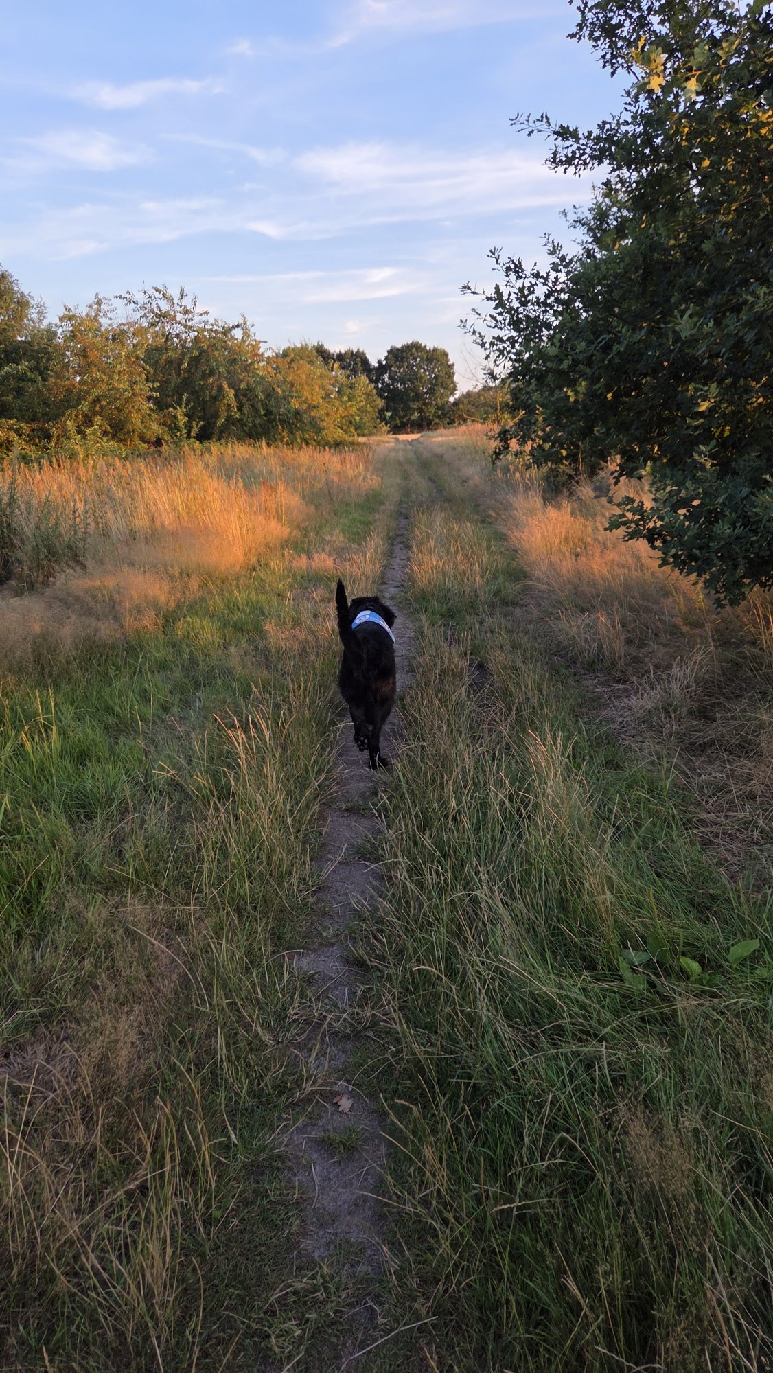 Ninja auf dem Feld