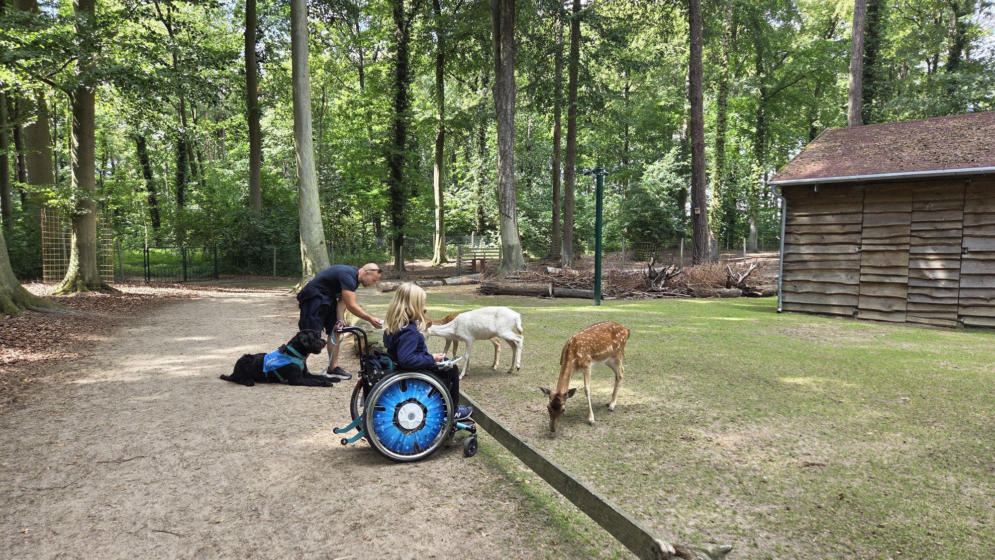 Ninja im Wildnispark