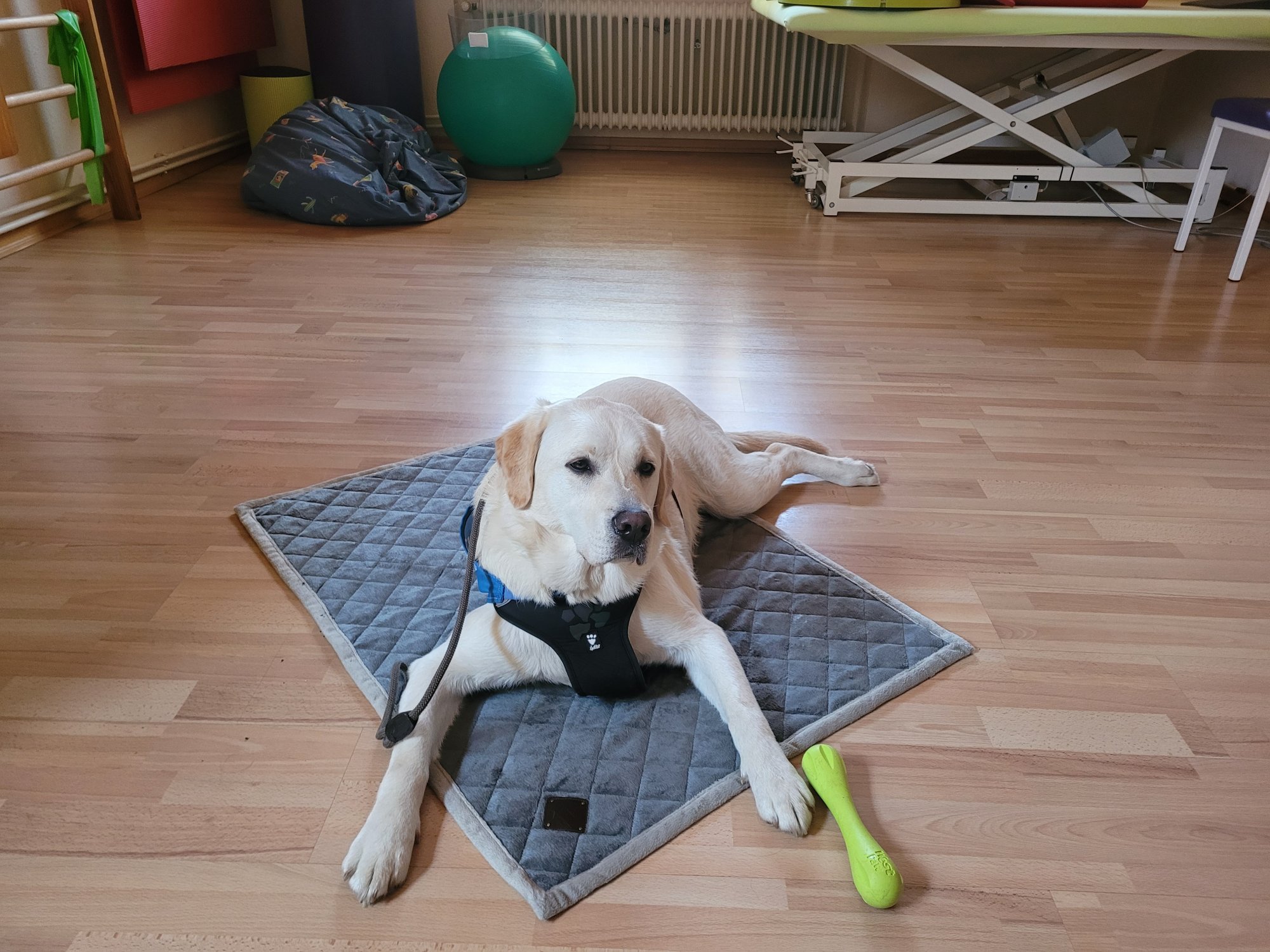 Eigene Matte bei der Physio