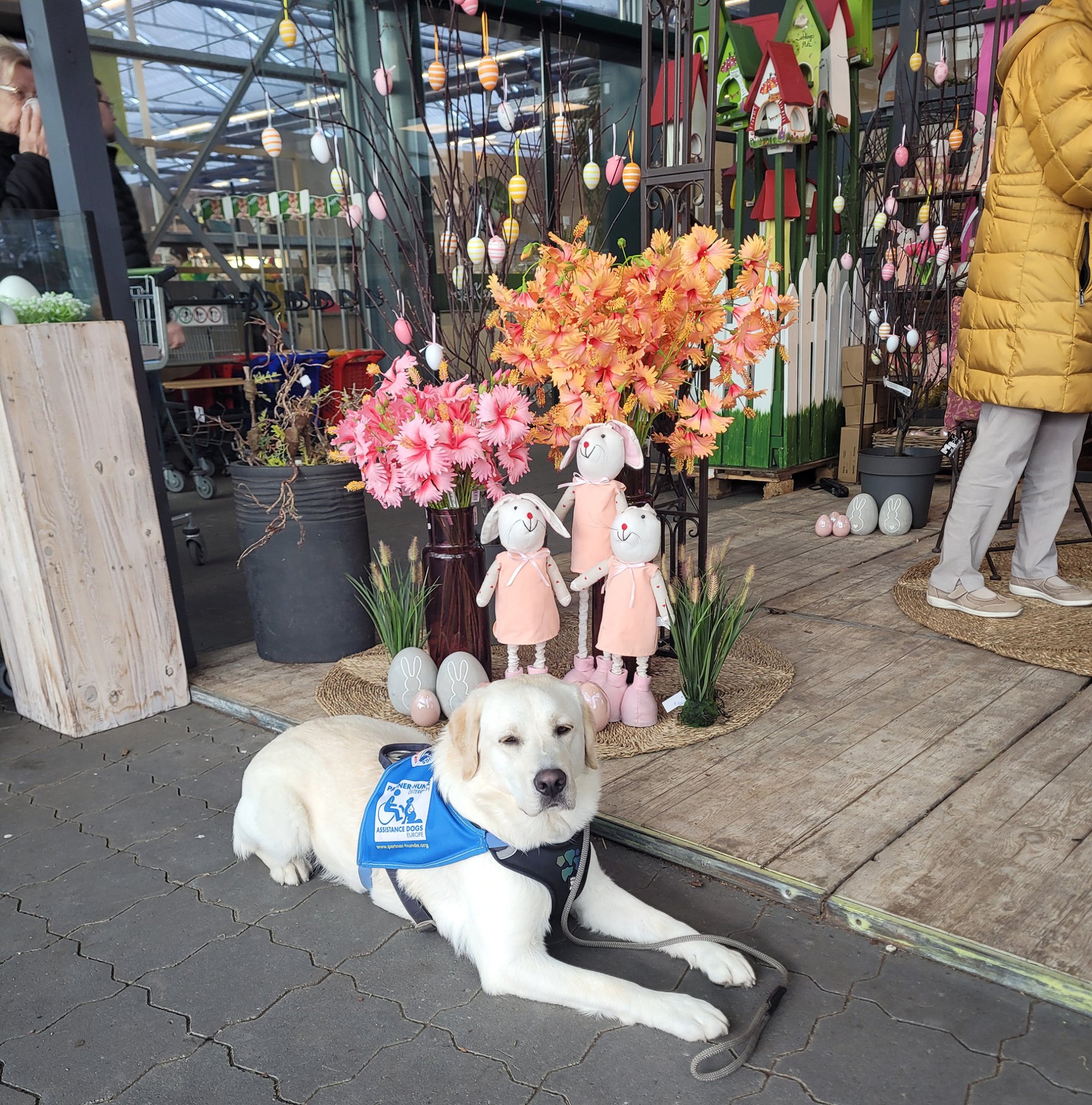 Warten vor dem Blumenladen