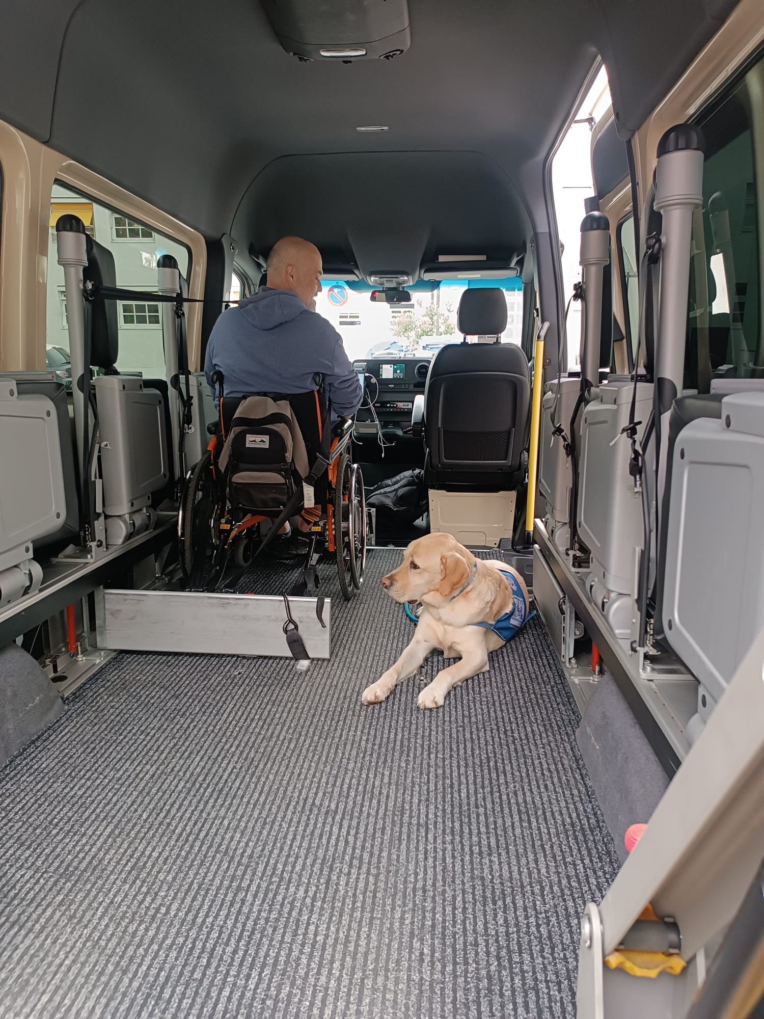 Eingeparkt im Auto