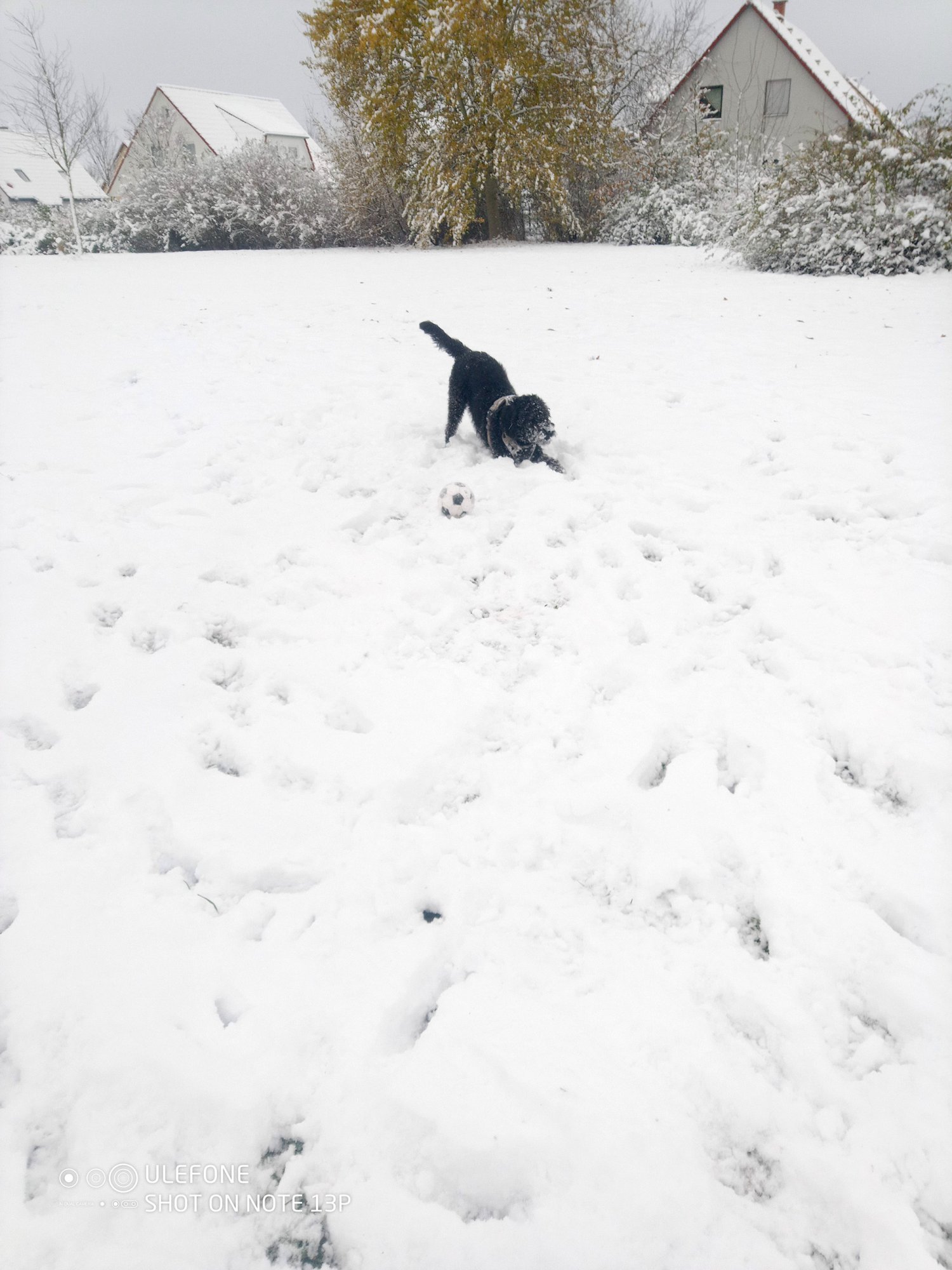 Jette spielt im Schnee
