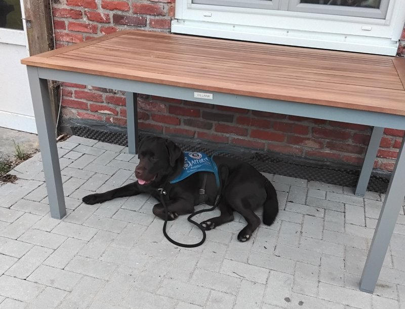 Ablegen unterm Tisch