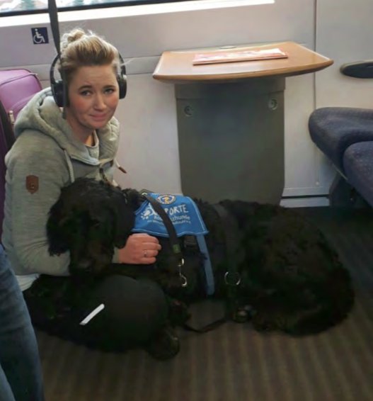 Assistenzhund Denno im Zug