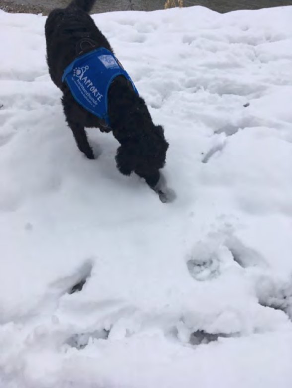 Denno im Schnee