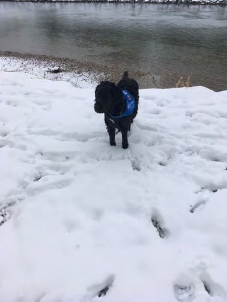 Denno im Schnee