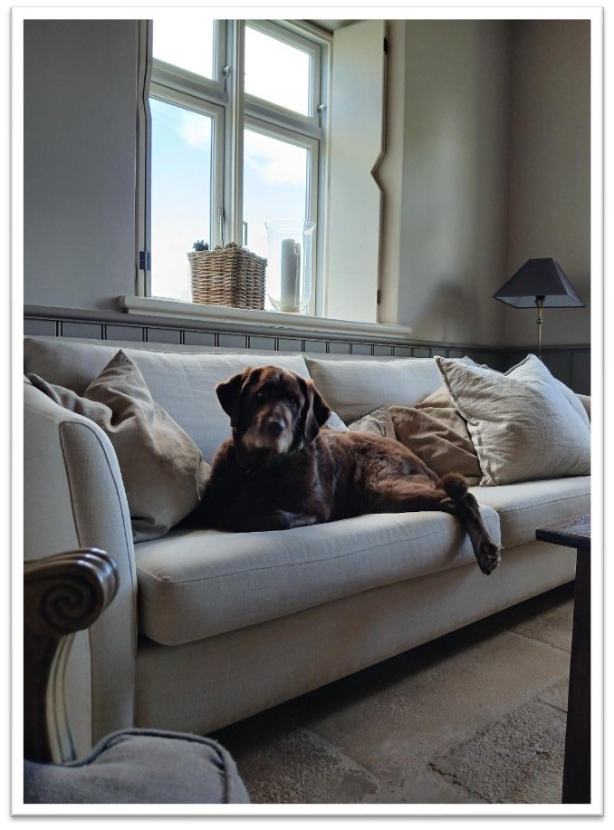 auf dem Sofa