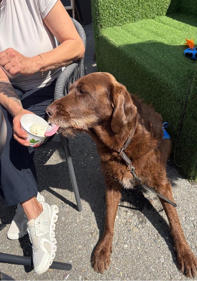 Eis schlecken