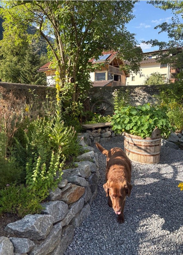 Im Garten