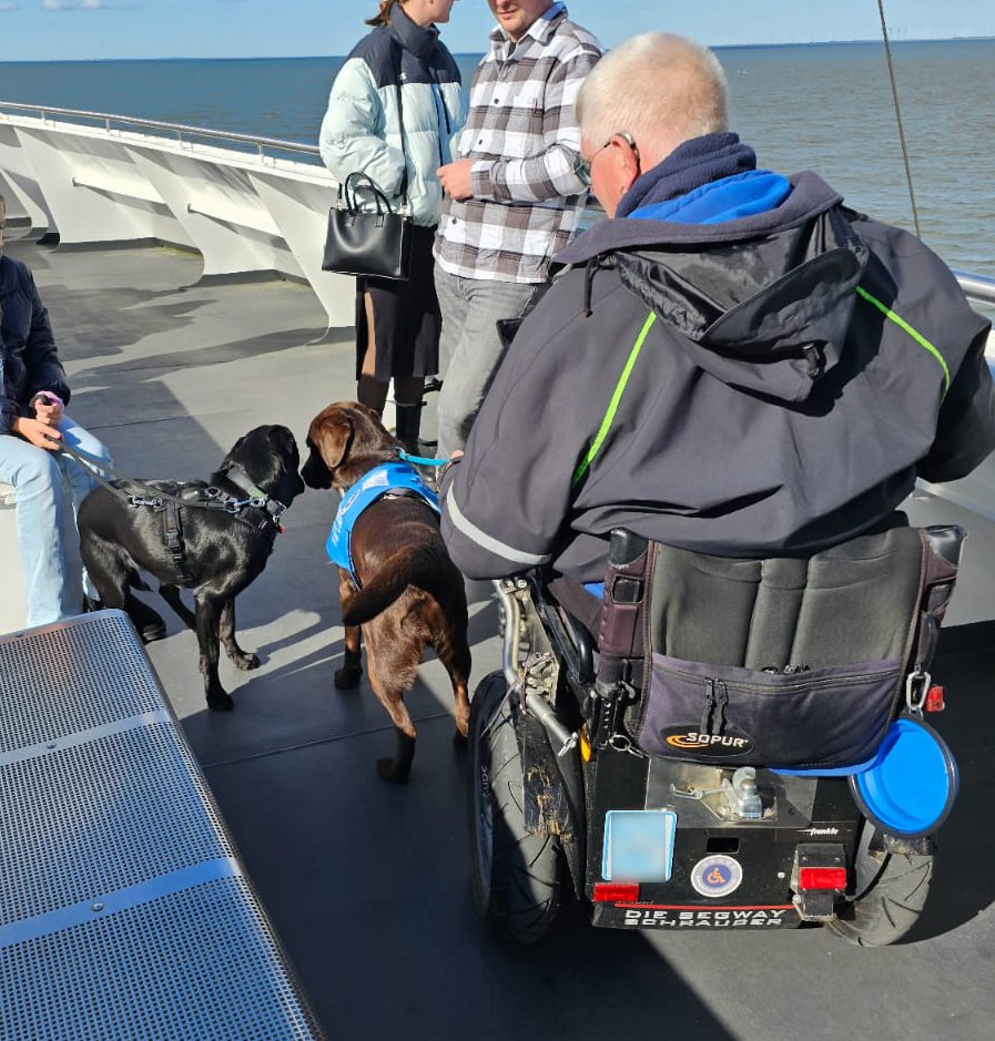 Hundebegegnung an Bord