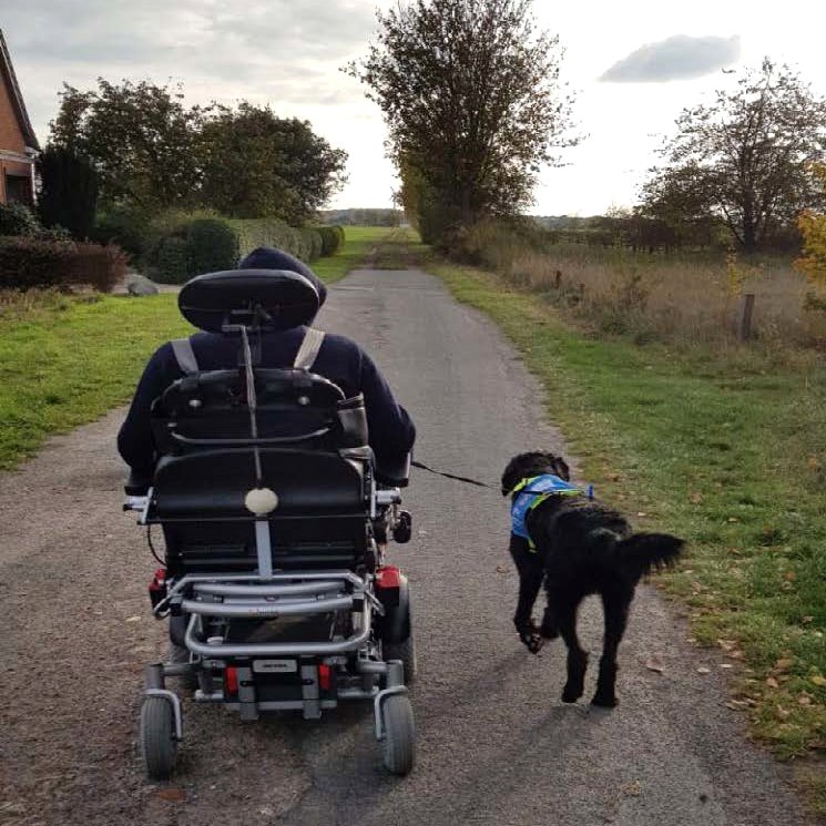 Christian im Rollstuhl führt Assistenzhund Denno an der Leine über einen Feldweg