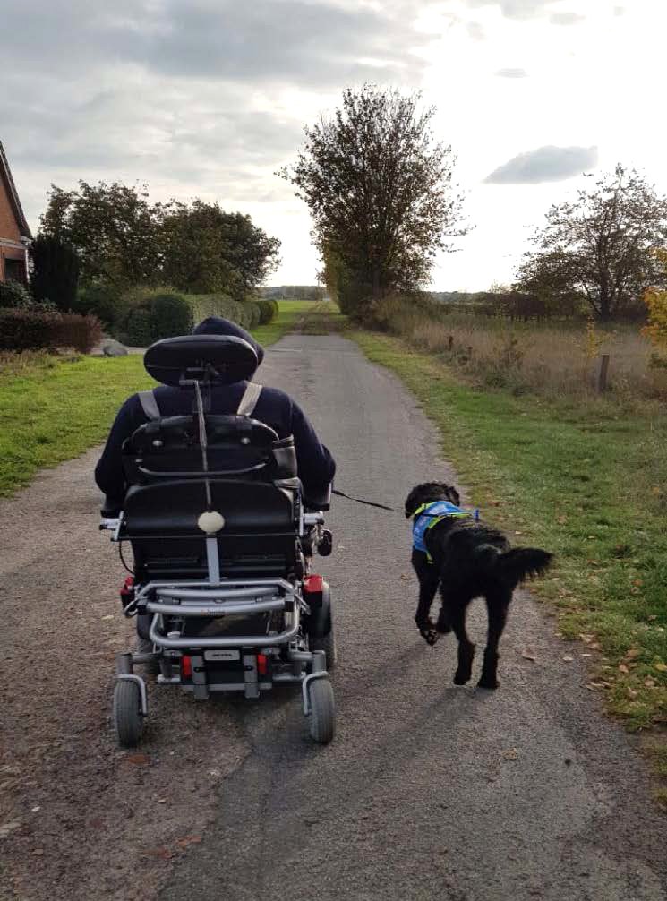 Christian im Rollstuhl führt Assistenzhund Denno an der Leine über einen Feldweg
