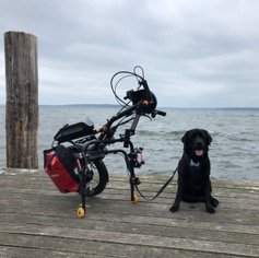 Assistenzhund Pelle am Bootssteg