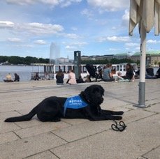 Assistenzhund Pelle beim Ausflug