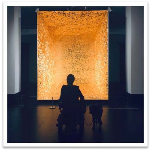 Assistenzhund Mate vor der goldenen Wand in der Kunsthalle