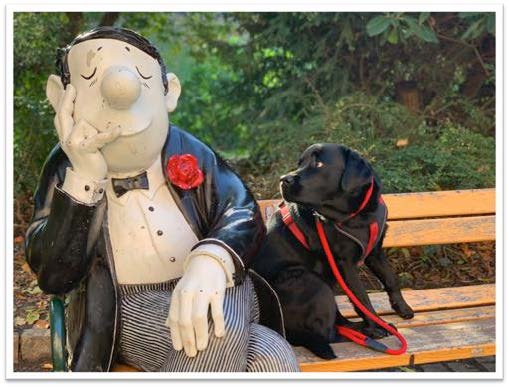 Assistenzhund Mate mit Figur von Loriot auf Parkbank