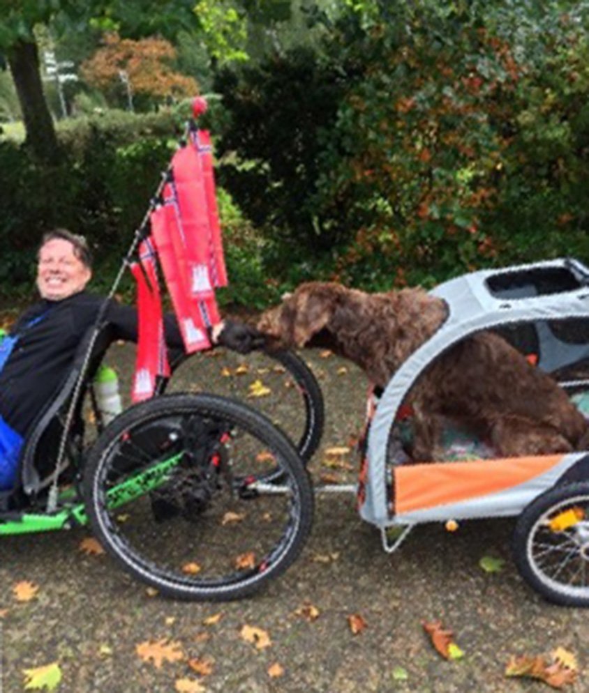 Im Fahrradanhänger 2