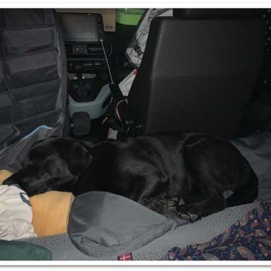 Mate schläft am Kopfende im Auto