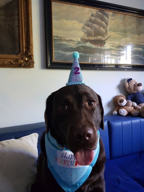 Happy Birthday Saga