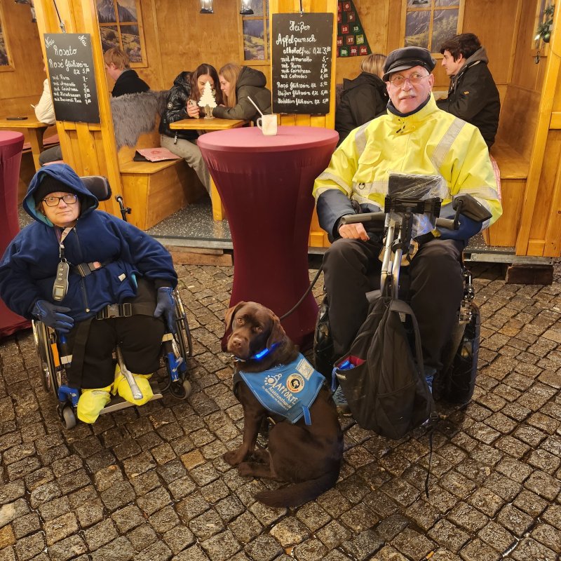 Auf dem Weihnachtsmarkt mit Hund Saga