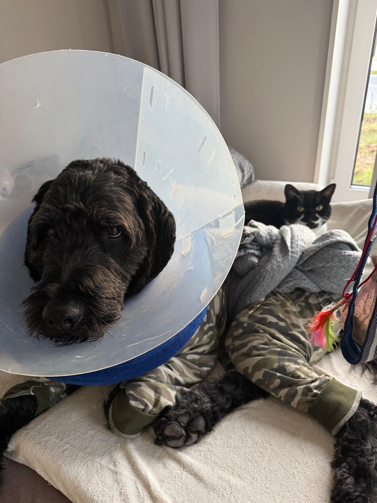 TrichterTilliimBett